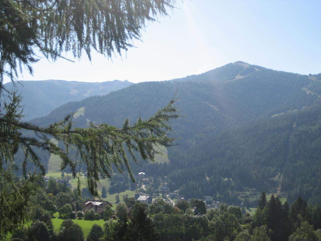 Ferienhaus Stiglitzweg Bad Kleinkirchheim Oda fotoğraf